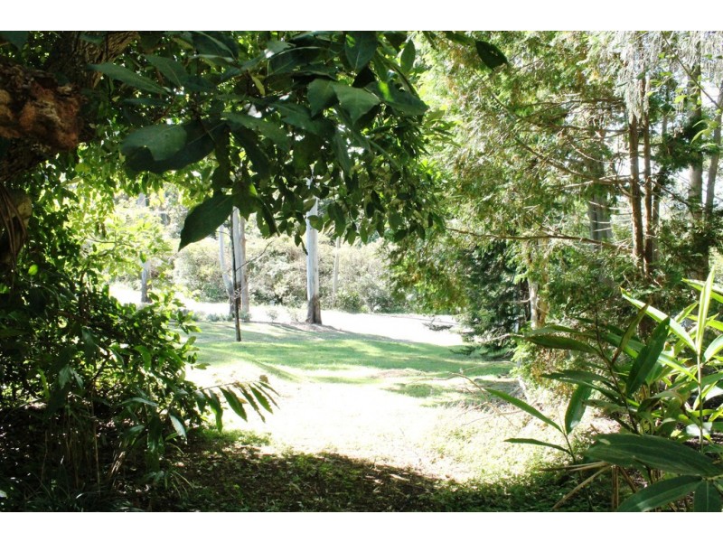 Tamborine Mountain QLD 4272