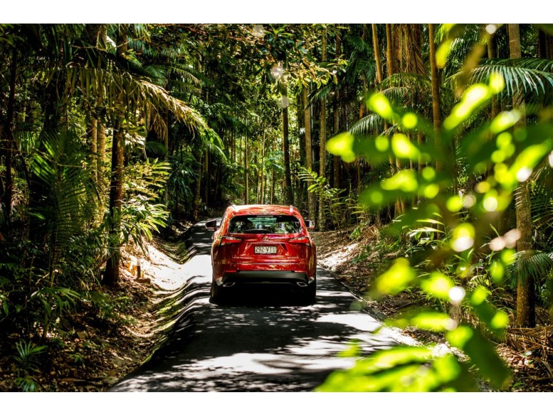 32 Carey Parade, Tamborine Mountain QLD 4272