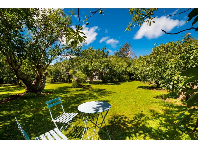 332 Main Western Road, Tamborine Mountain QLD 4272