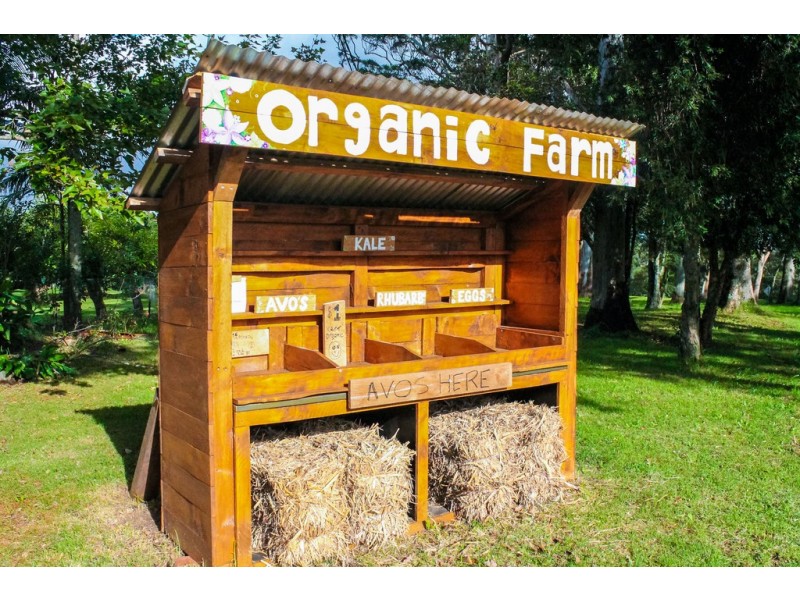 332 Main Western Road, Tamborine Mountain QLD 4272