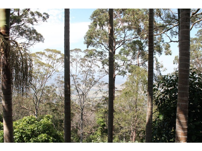 Tamborine Mountain QLD 4272