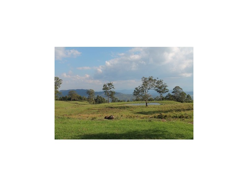 Lot 3/423 Main Western Road, Tamborine Mountain QLD 4272