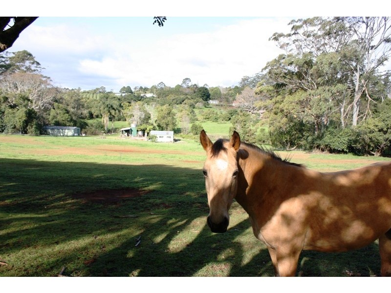 North Tamborine QLD 4272