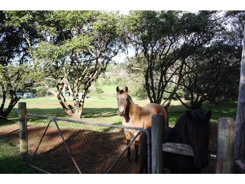 North Tamborine QLD 4272