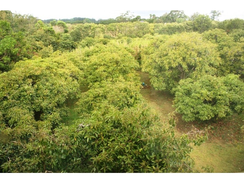 North Tamborine QLD 4272