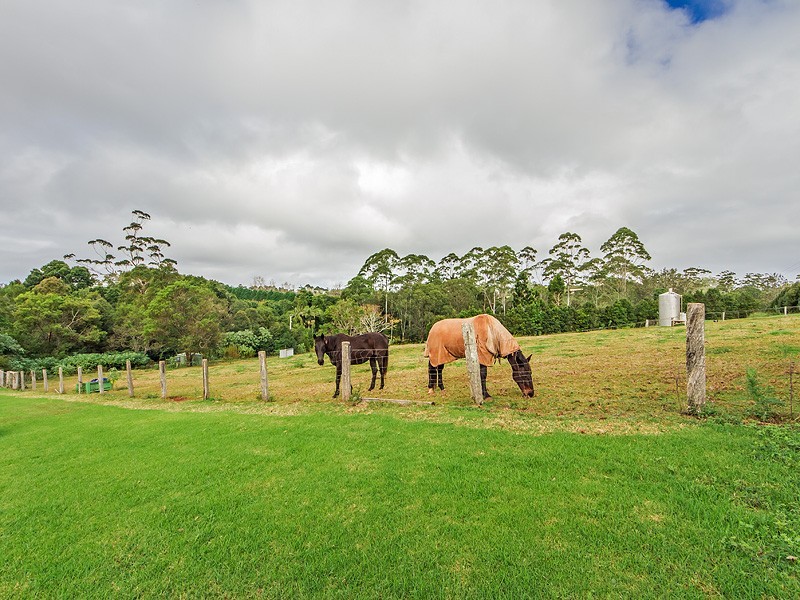 North Tamborine QLD 4272