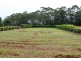 Tamborine Mountain QLD 4272