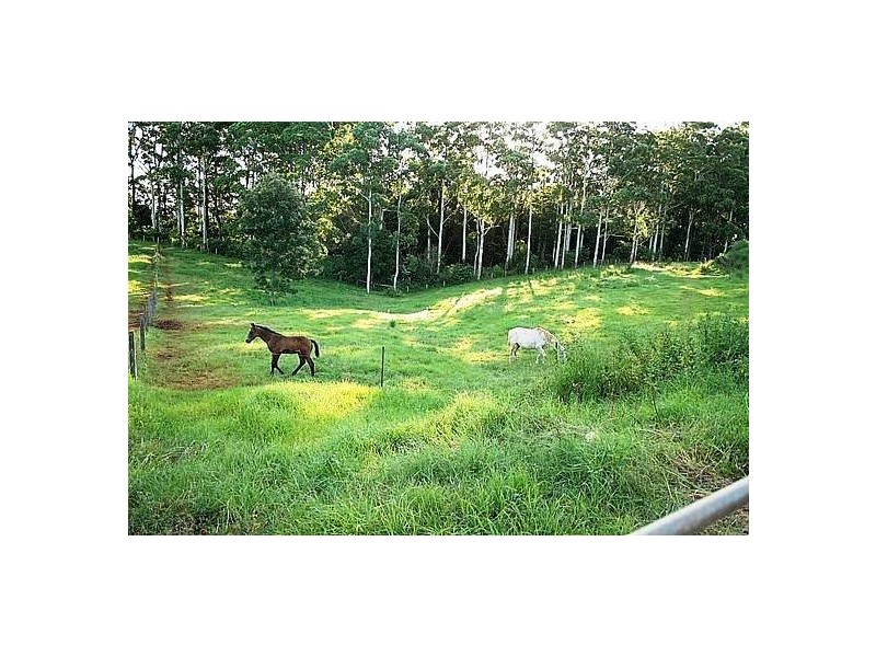 Tamborine Mountain QLD 4272
