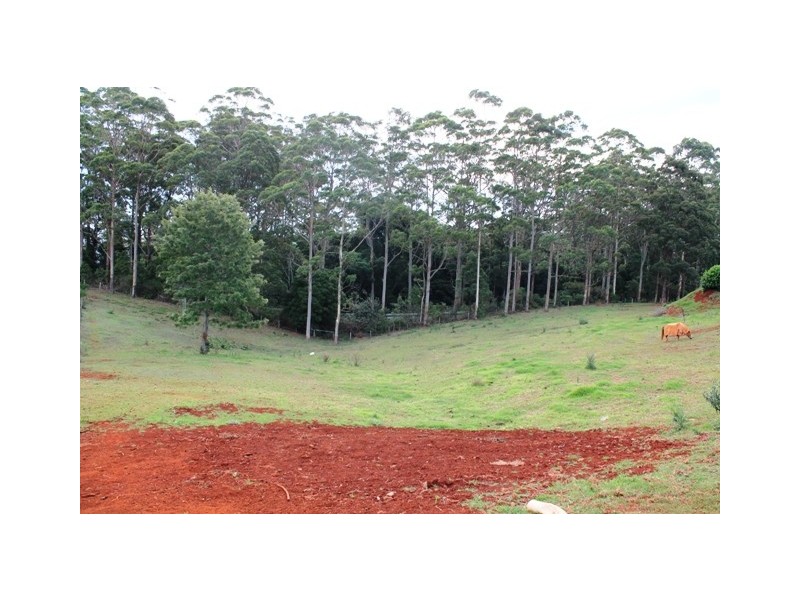 Tamborine Mountain QLD 4272