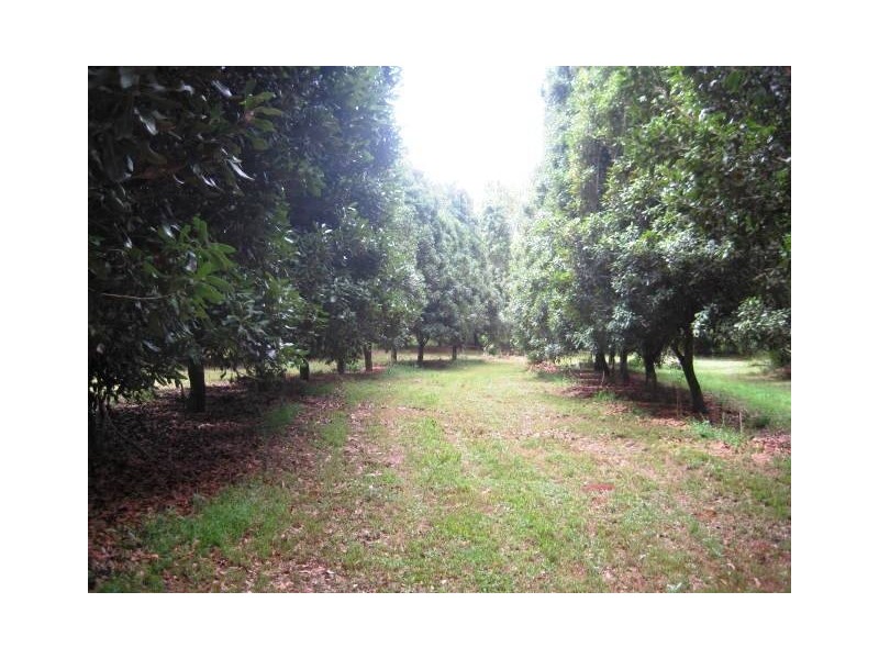 74 West Road, North Tamborine QLD 4272