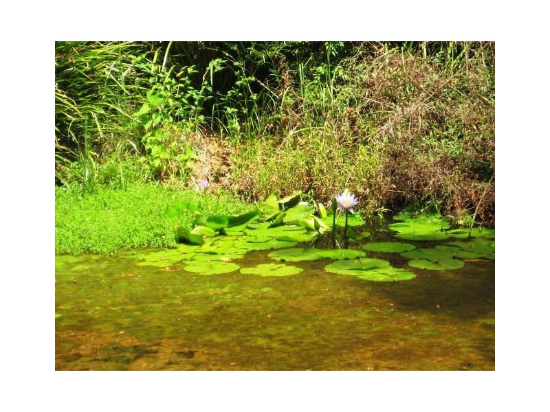 74 West Road, North Tamborine QLD 4272