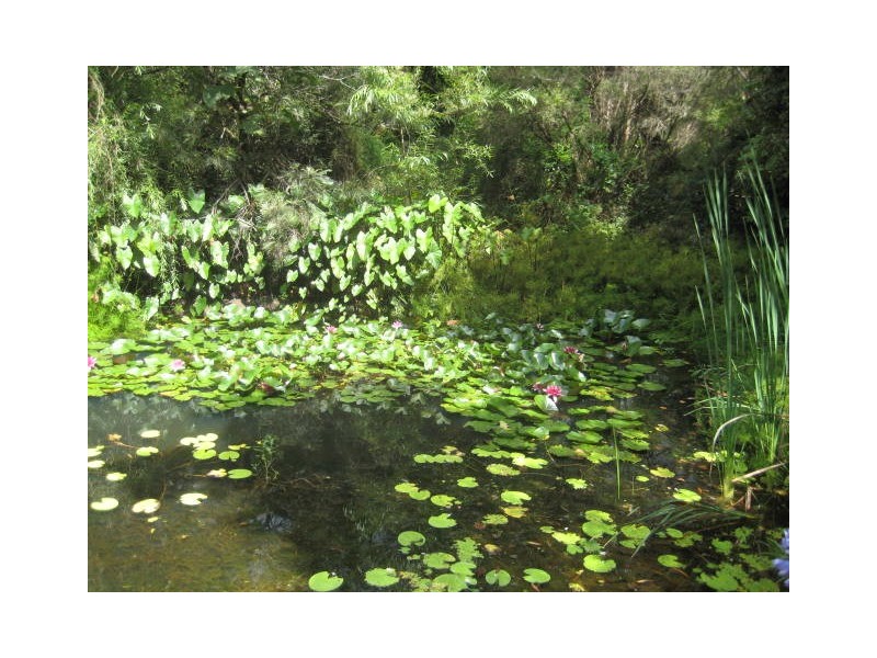 74 West Road, North Tamborine QLD 4272