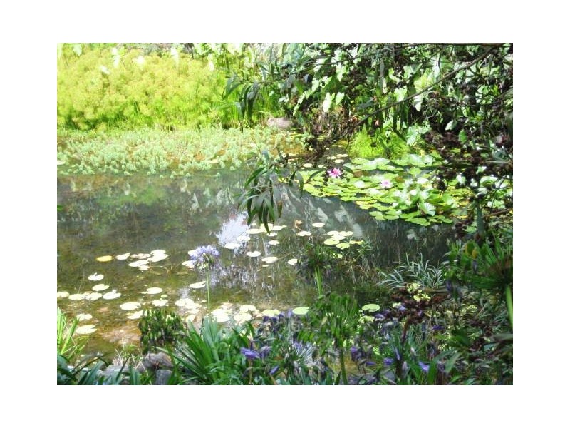 74 West Road, North Tamborine QLD 4272