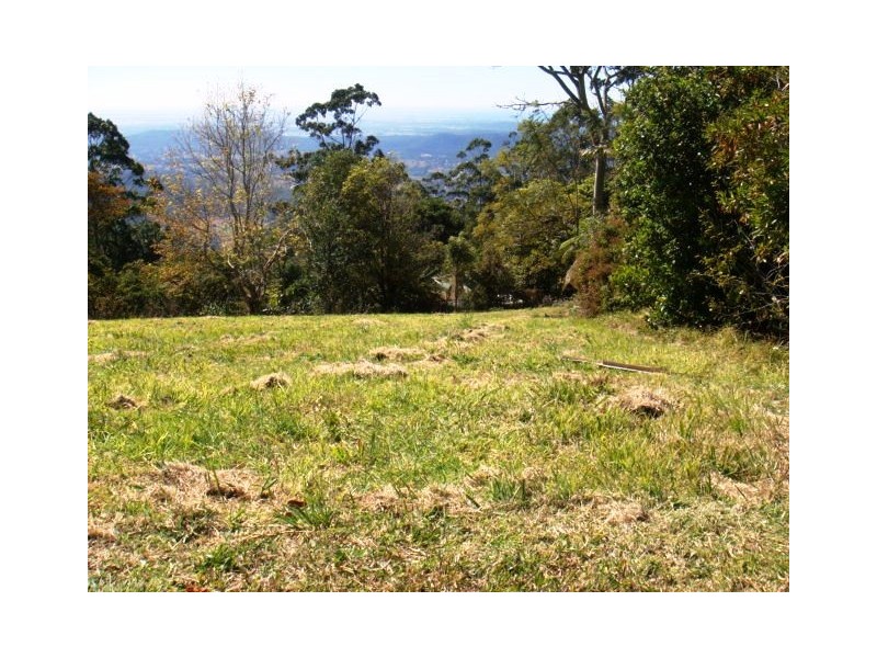 Tamborine Mountain QLD 4272