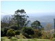 Tamborine Mountain QLD 4272