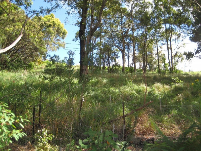 607 Henri Robert Drive, Tamborine Mountain QLD 4272