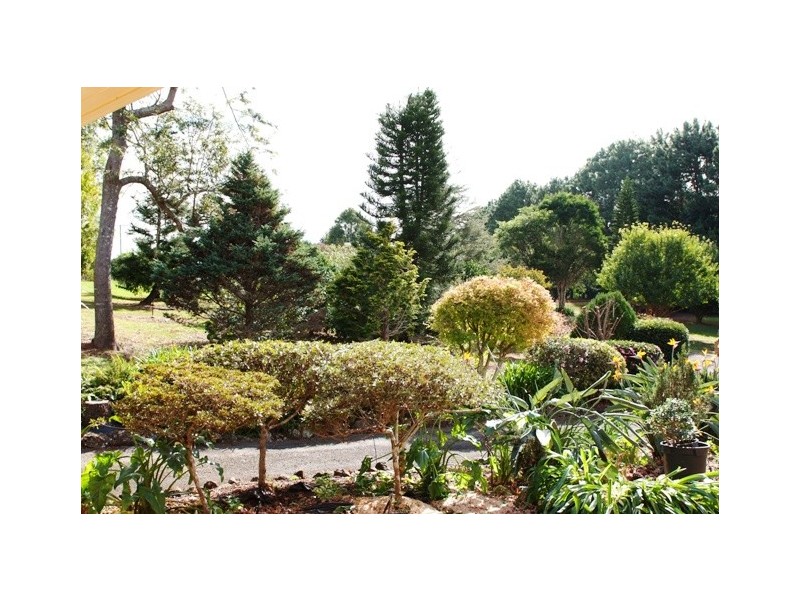 North Tamborine QLD 4272