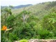 Lot 157 Jourdana Drive, Cedar Creek QLD 4207