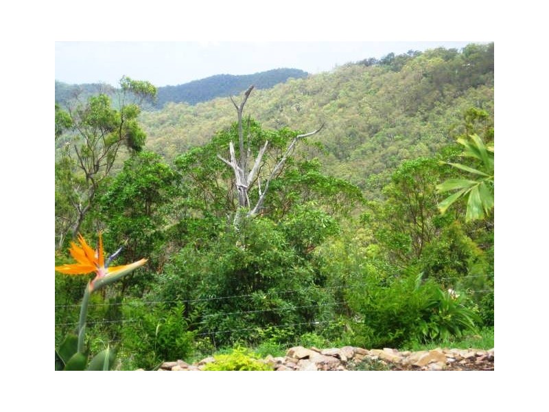 Lot 157 Jourdana Drive, Cedar Creek QLD 4207
