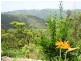 Lot 157 Jourdana Drive, Cedar Creek QLD 4207