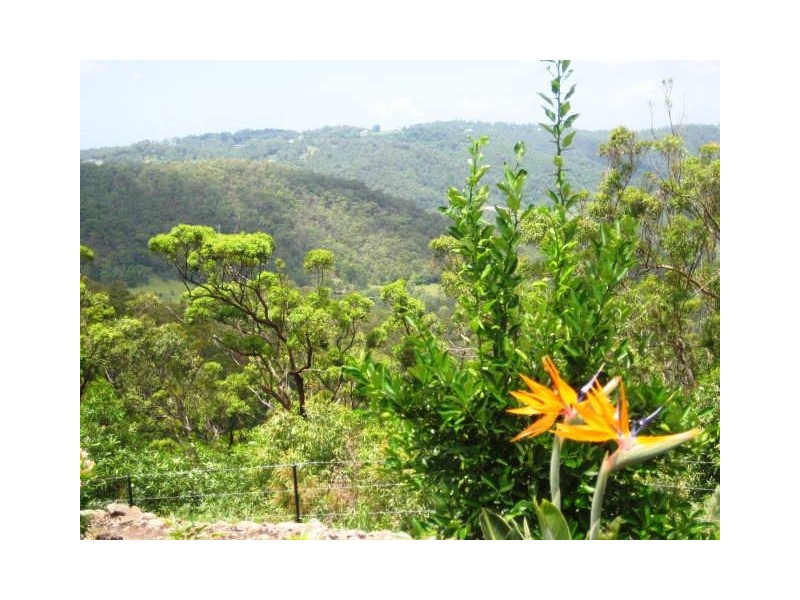 Lot 157 Jourdana Drive, Cedar Creek QLD 4207