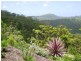 Lot 157 Jourdana Drive, Cedar Creek QLD 4207