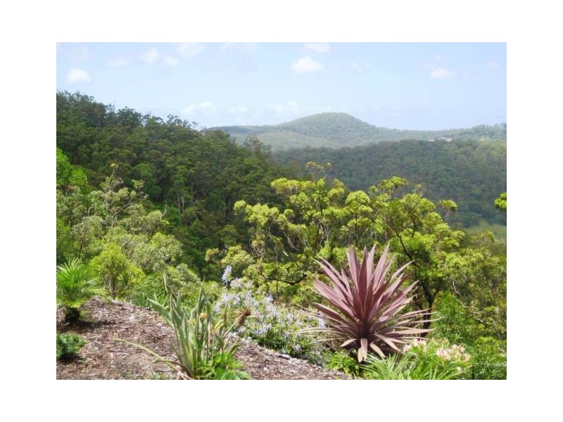 Lot 157 Jourdana Drive, Cedar Creek QLD 4207