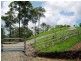Lot 157 Jourdana Drive, Cedar Creek QLD 4207