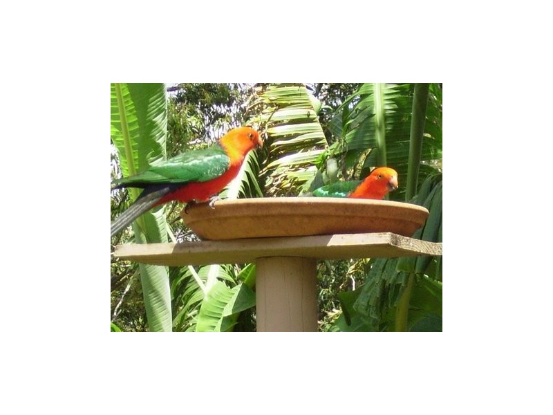 North Tamborine QLD 4272