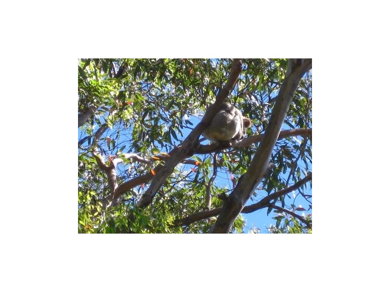 North Tamborine QLD 4272