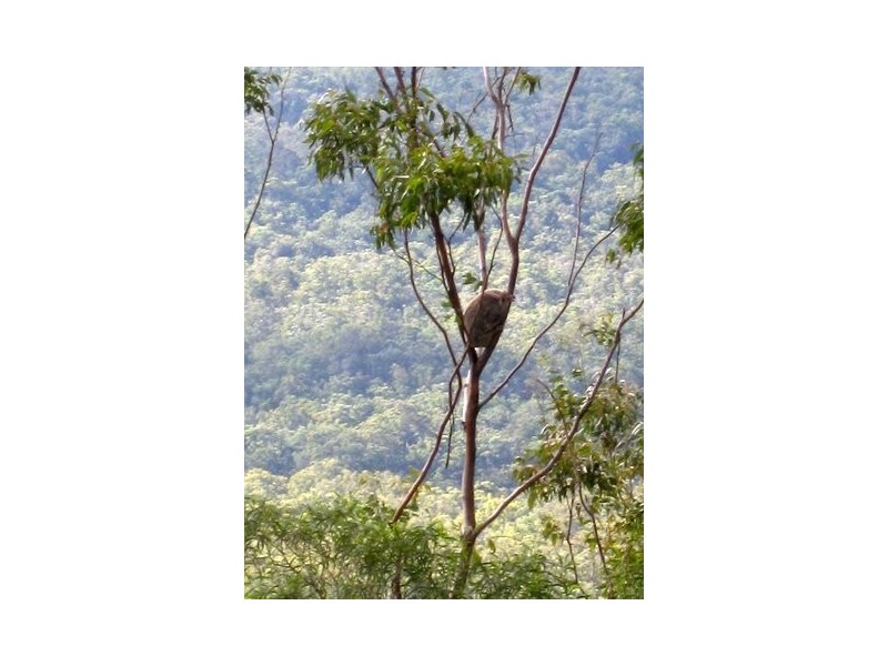 North Tamborine QLD 4272