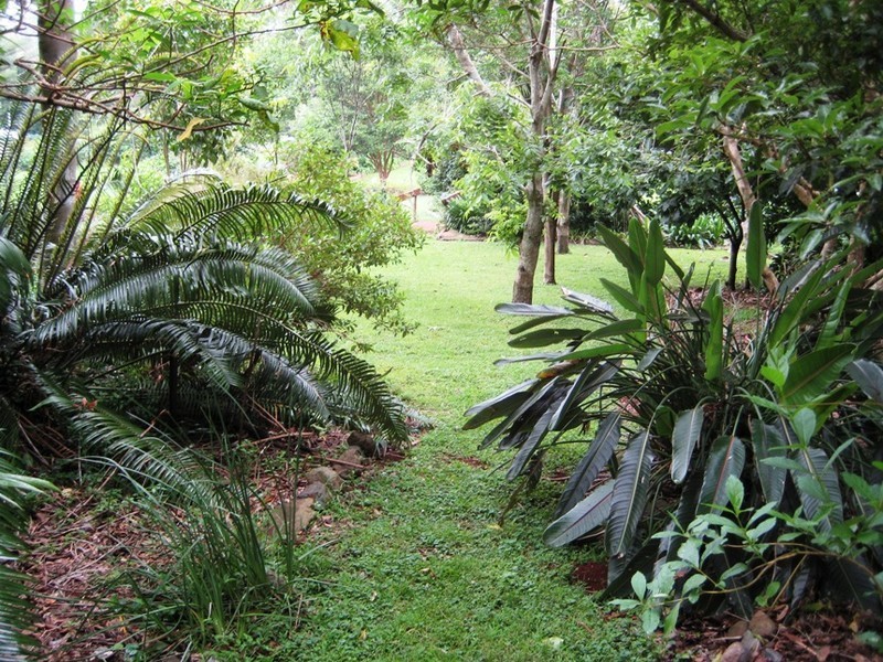 North Tamborine QLD 4272