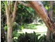 53 LONG ROAD, Tamborine Mountain QLD 4272