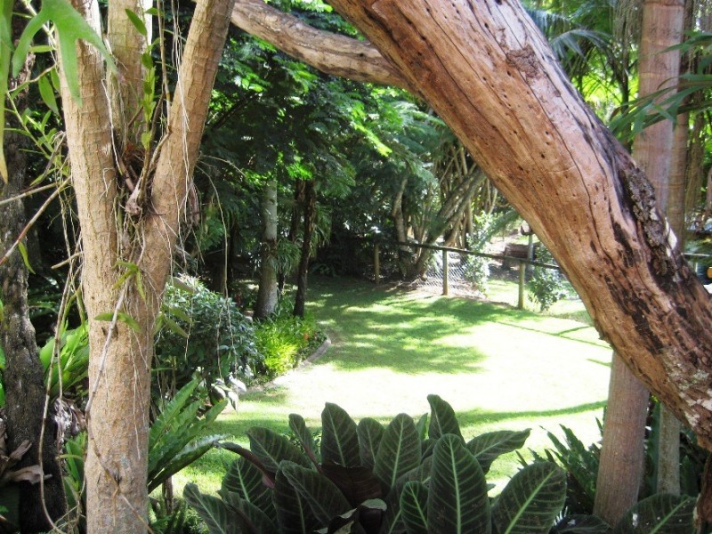 53 LONG ROAD, Tamborine Mountain QLD 4272