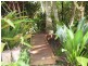 53 LONG ROAD, Tamborine Mountain QLD 4272