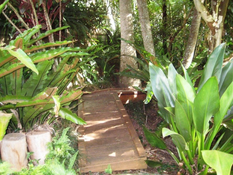 53 LONG ROAD, Tamborine Mountain QLD 4272