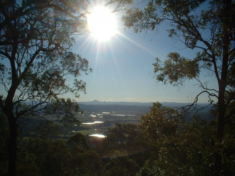 703 Main Western Road, Tamborine Mountain QLD 4272