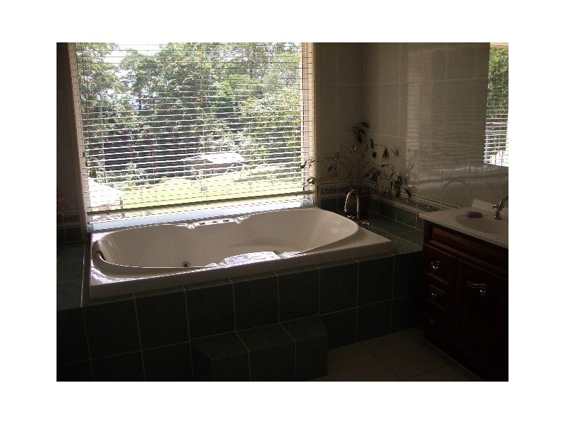73 Alpine Terrace, Tamborine Mountain QLD 4272