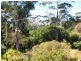Eagle Heights QLD 4271