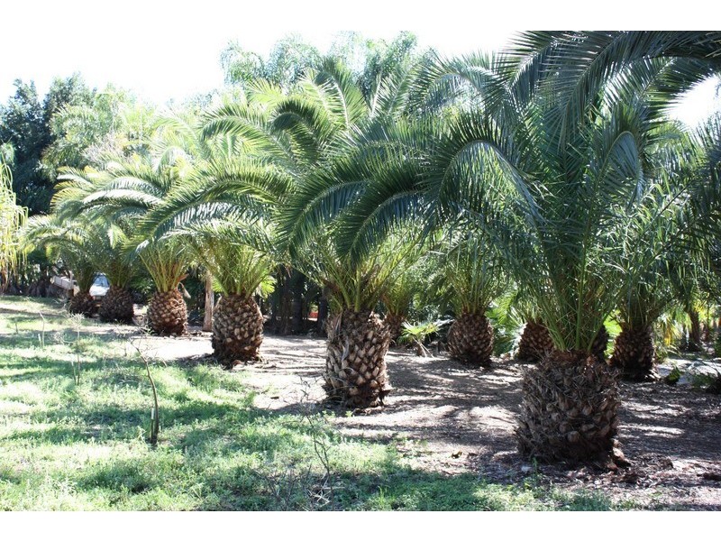 74 Hazel Road, Tamborine QLD 4270