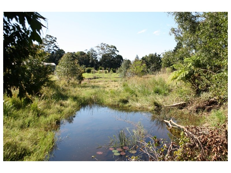 Tamborine Mountain QLD 4272