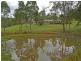 217 Beattie Road, Mundoolun QLD 4285