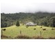 2558 Beaudesert Nerang, Canungra QLD 4275