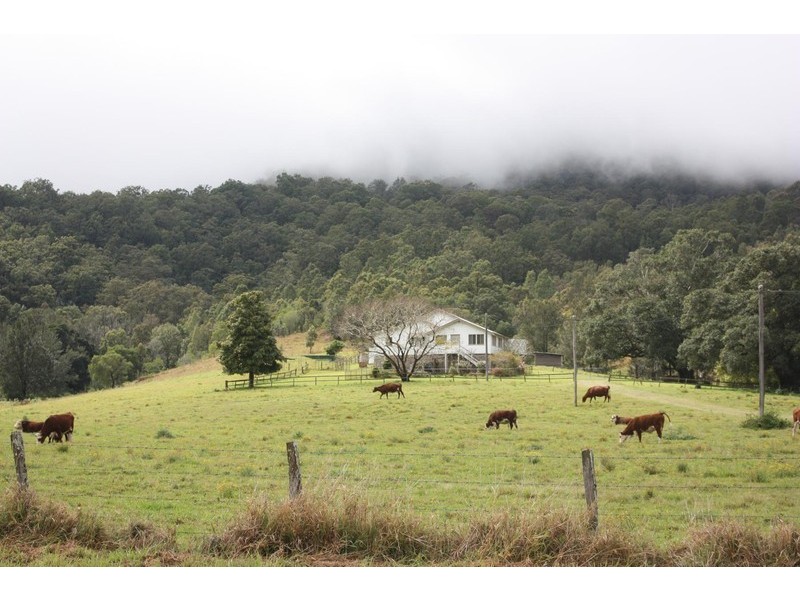 2558 Beaudesert Nerang, Canungra QLD 4275
