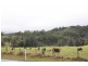 2558 Beaudesert Nerang, Canungra QLD 4275