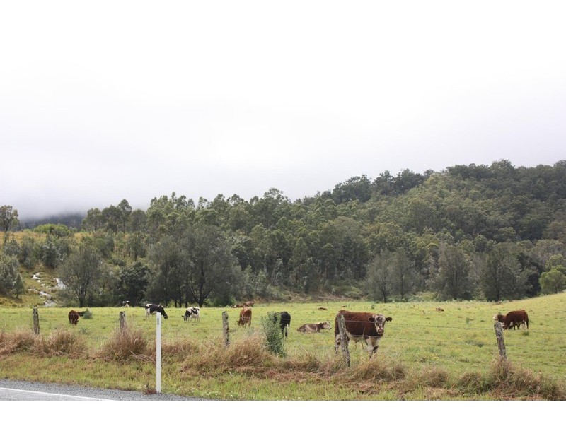 2558 Beaudesert Nerang, Canungra QLD 4275