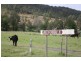 2558 Beaudesert Nerang, Canungra QLD 4275