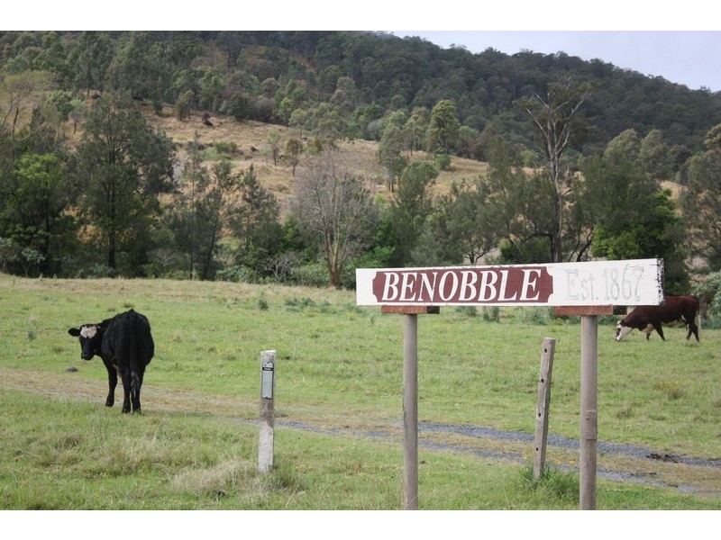 2558 Beaudesert Nerang, Canungra QLD 4275