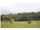2558 Beaudesert Nerang, Canungra QLD 4275