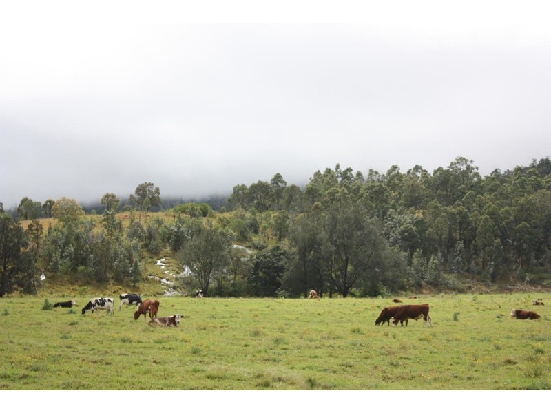2558 Beaudesert Nerang, Canungra QLD 4275